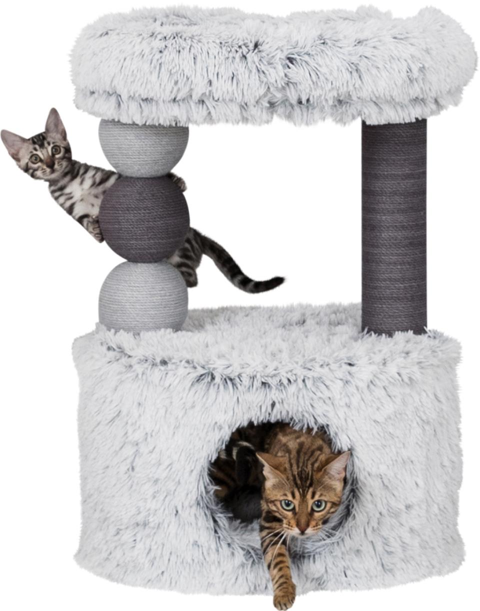 Trixie Harvey kradsetræ