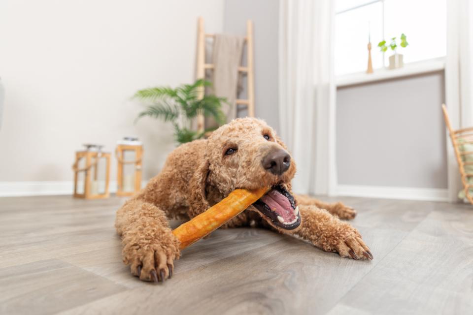 Trixie Denta Fun Roll, collagen med kylling