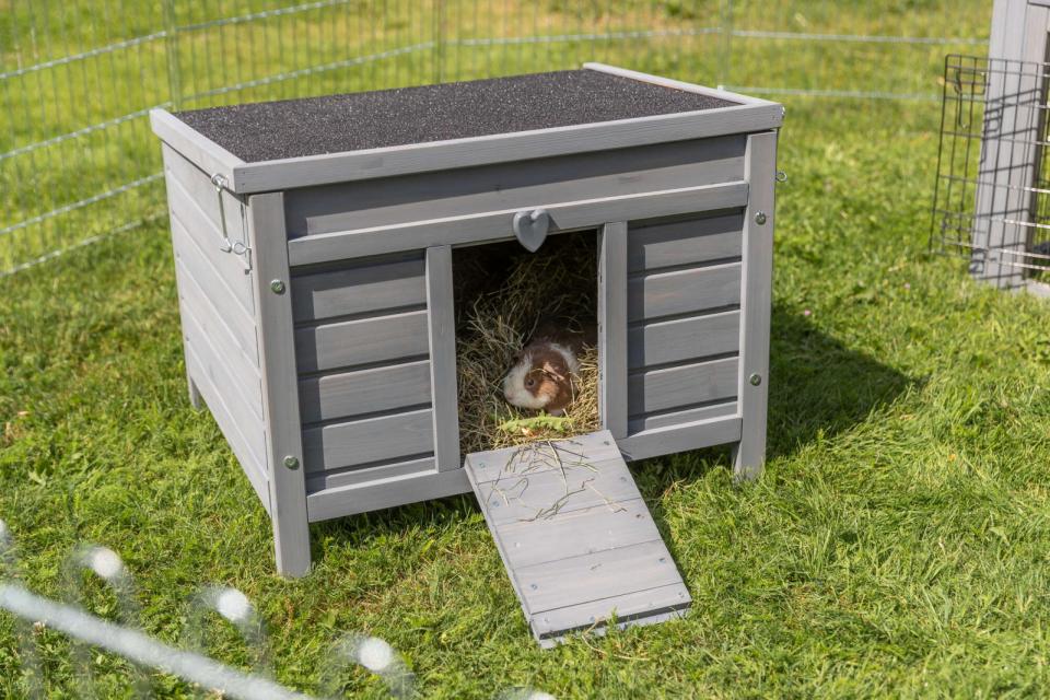 Trixie Udendørs hus til små dyr
