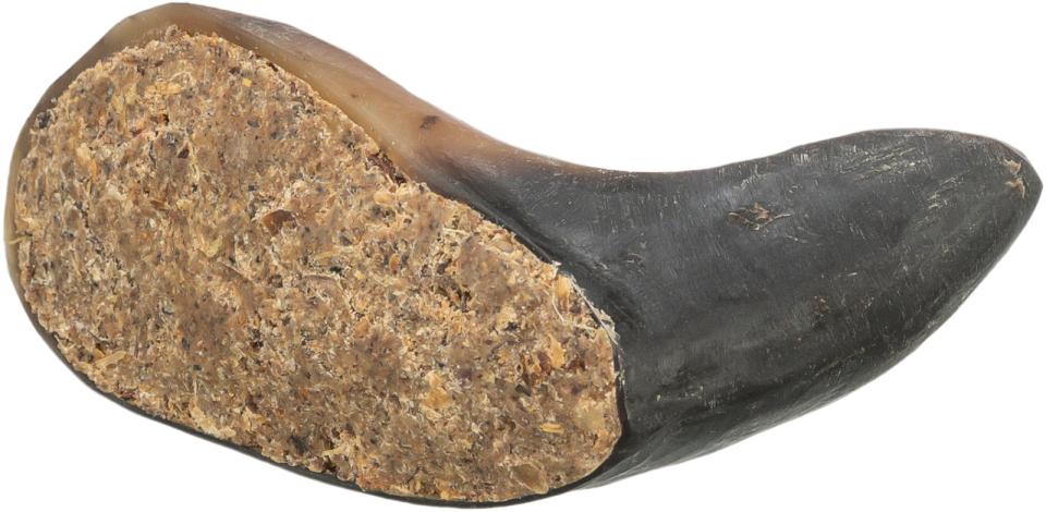 Trixie Buffalo horn med fyld