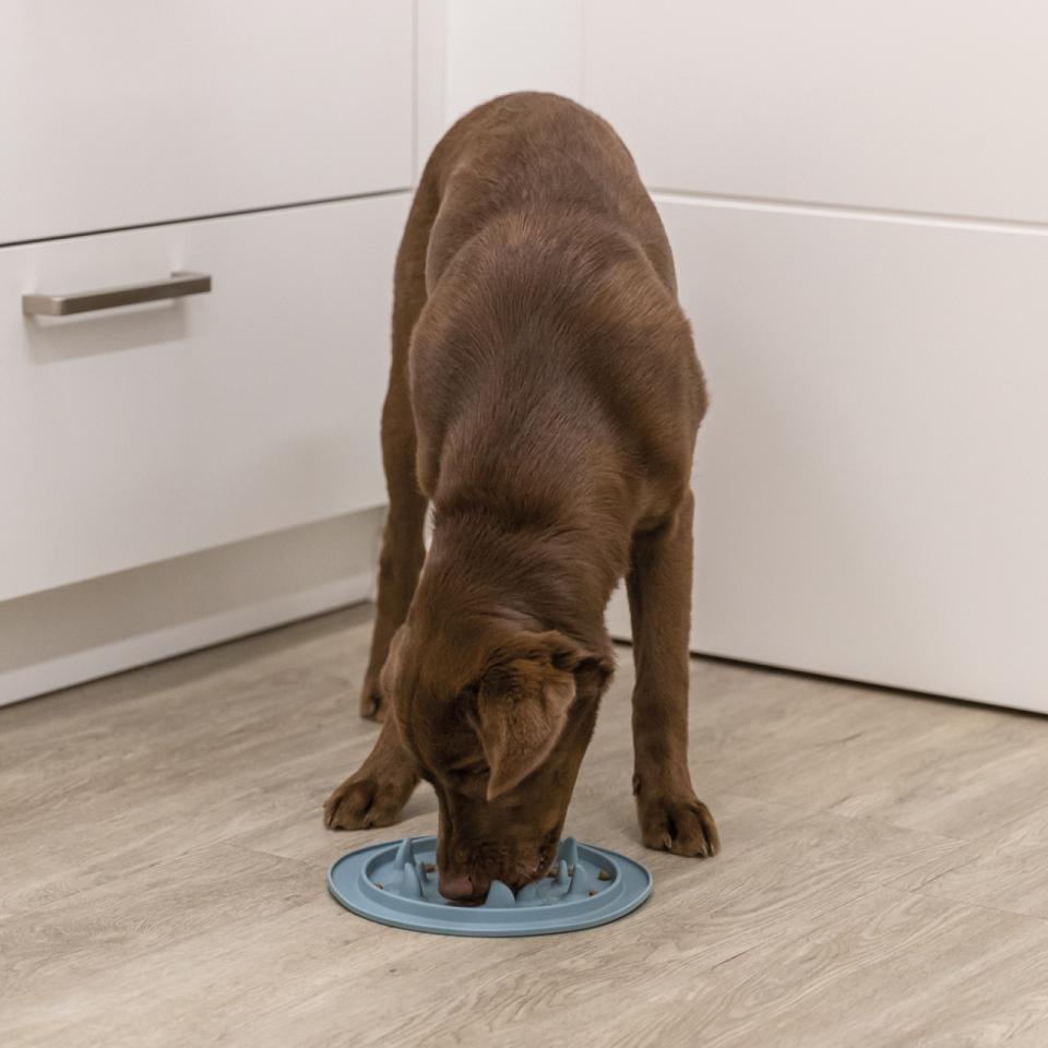 Slow Feeding mat, TPE