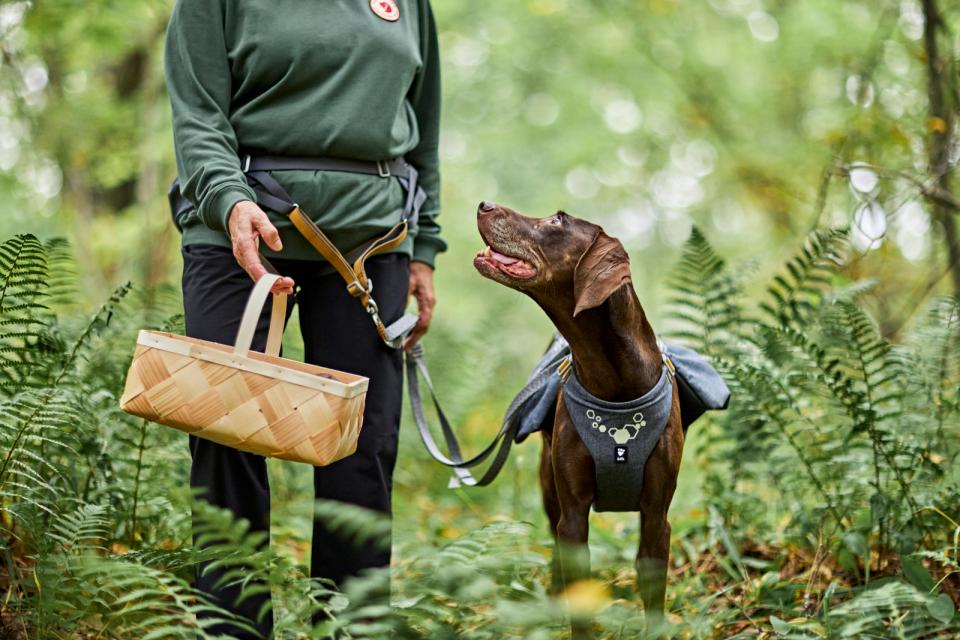 Hurtta Expedition ECO bælte