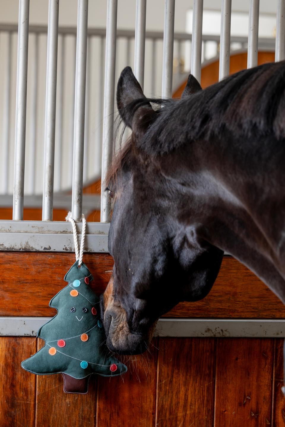 Horse Guard-Pferdspielzeug - Weihnachtsbaum