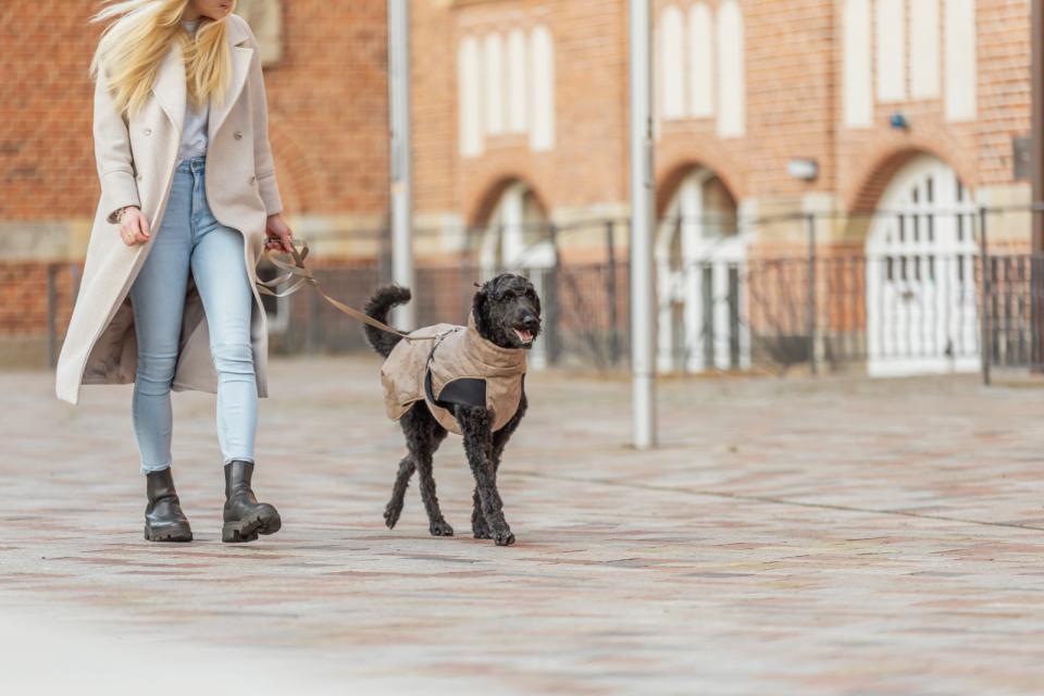 Trixie Riom vintertäcke för hundar