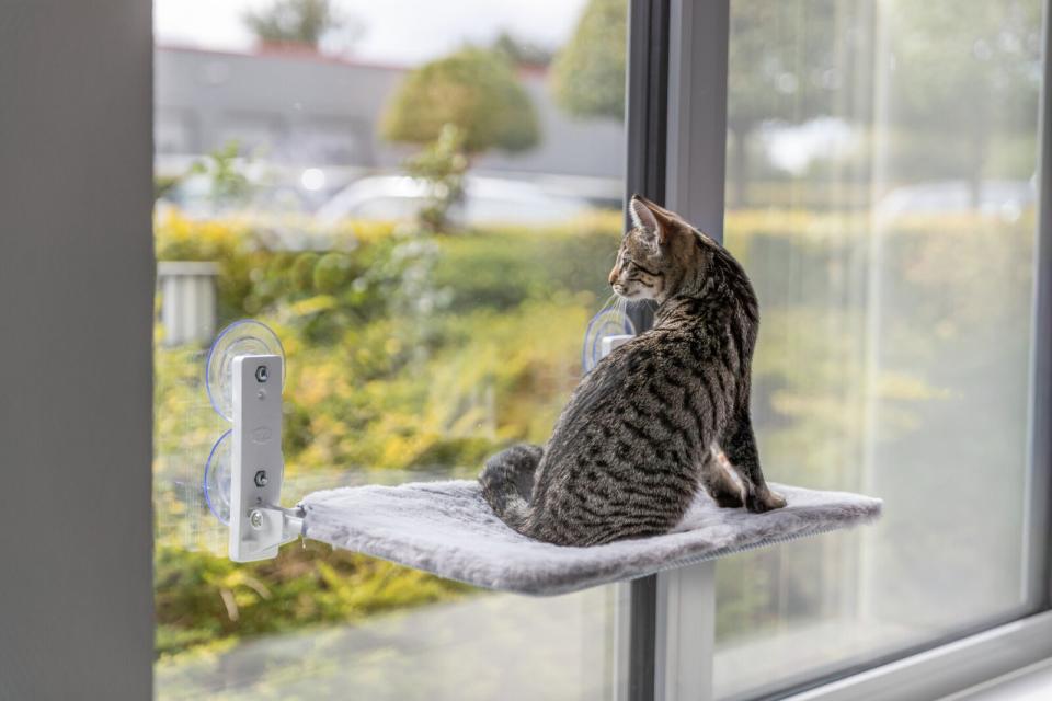 Trixie Vindue liggeplads plys/mesh