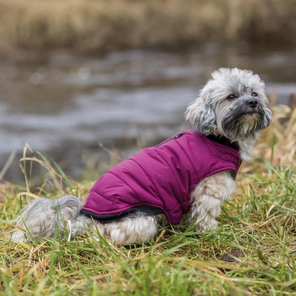 Trixie Arlay hundefrakke