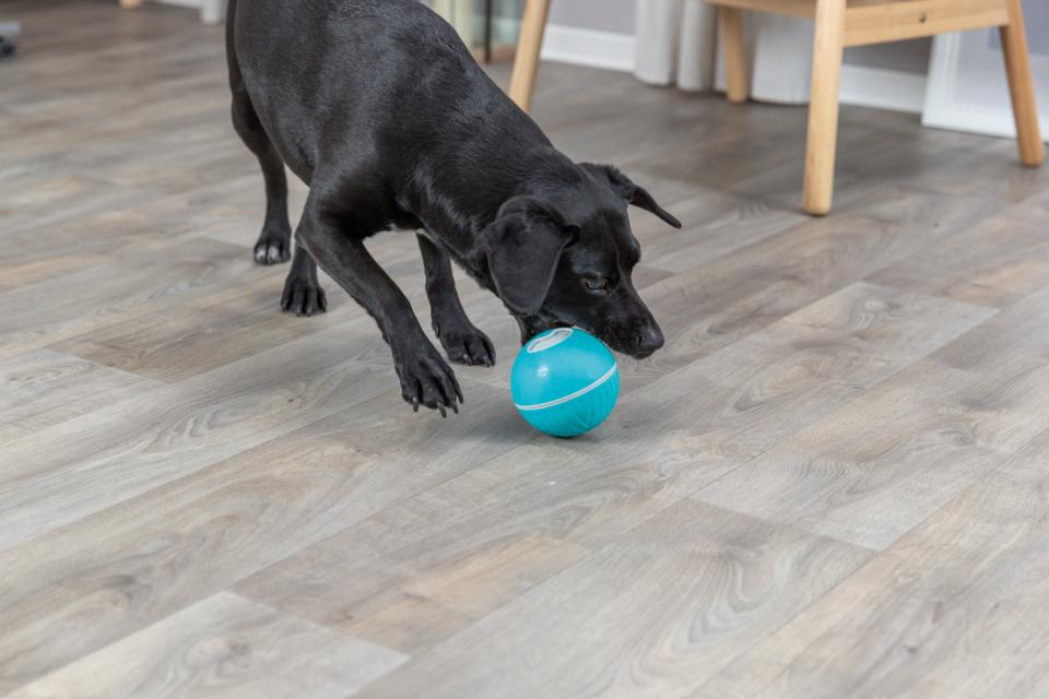 Trixie Snackbold i plastik