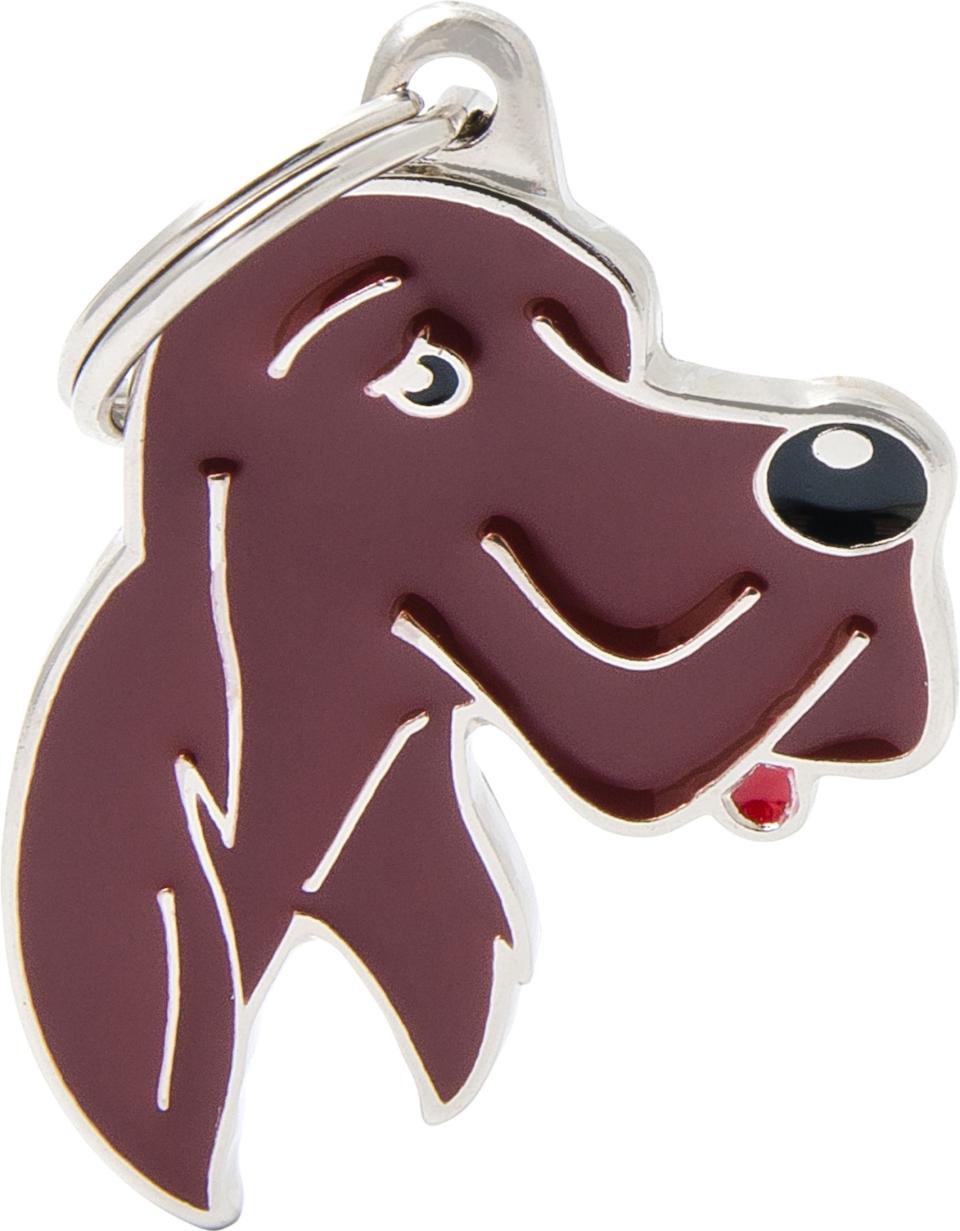 MyFamily Friends, Irsk setter