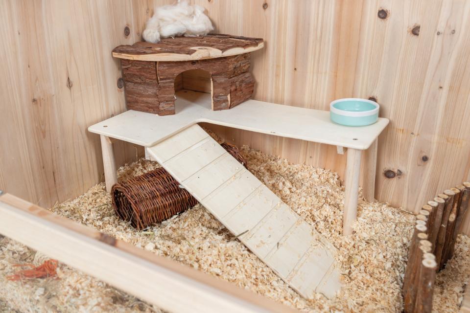 Trixie platform med rampe til mus/hamster