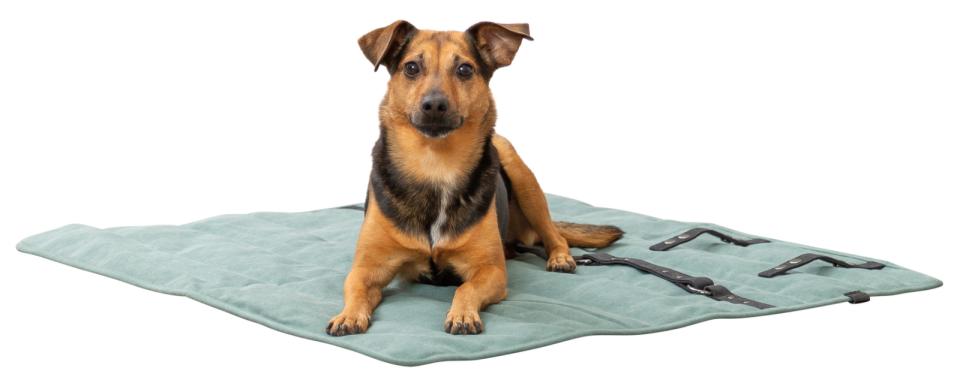 Trixie reiseteppe CityStyle