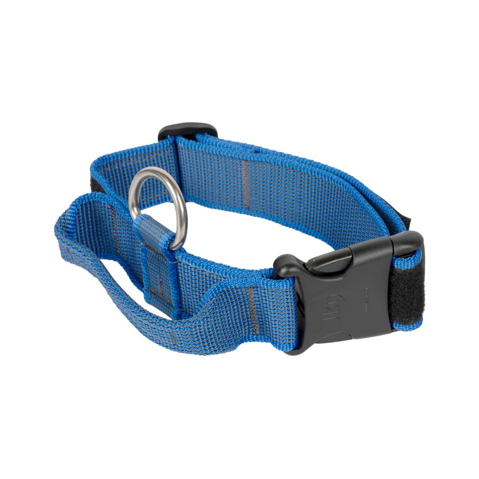 Julius-K9 C&G halsband med handtag