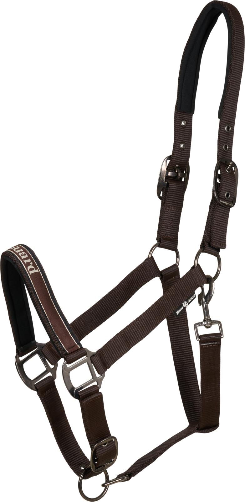 Horse Guard Sandra grime