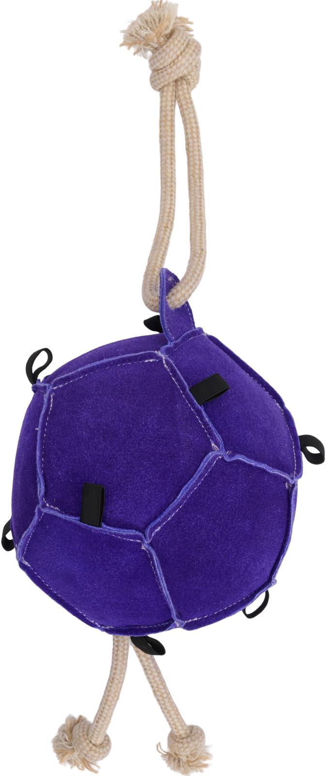 Horse Guard Ball-hestelegetøj