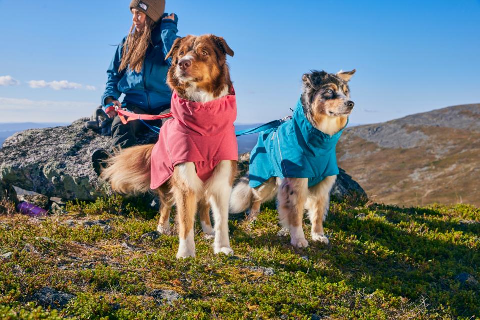 Hurtta Expedition Parka II Hundedecke