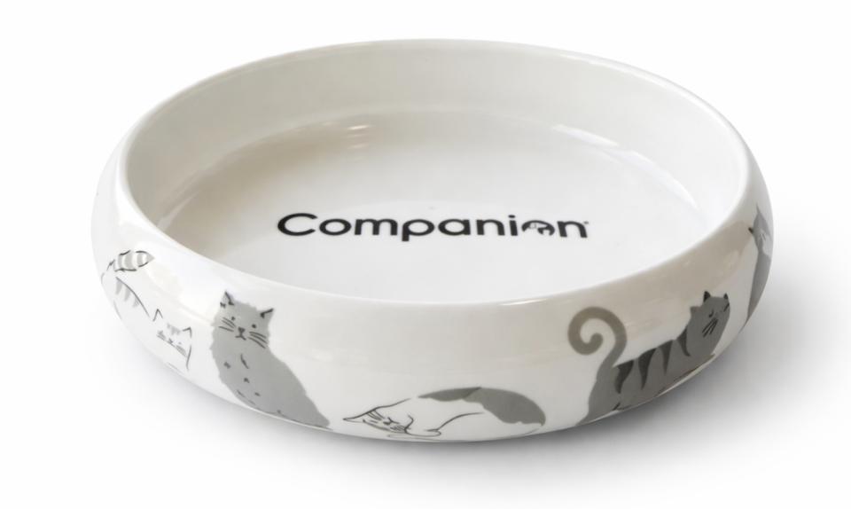 Companion katte skål med mønster