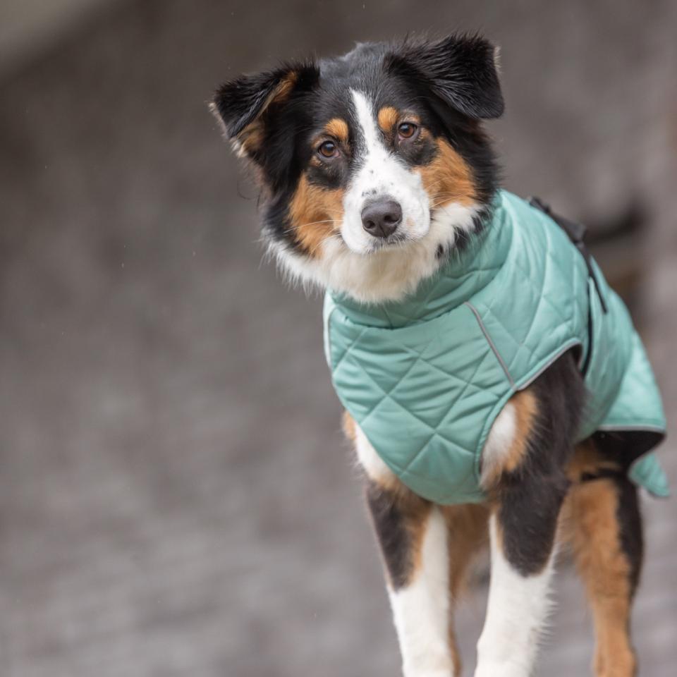 Trixie CityStyle Oslo frakke til hunde