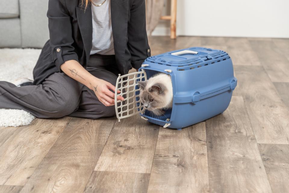 Trixie Transport Box Relax 1