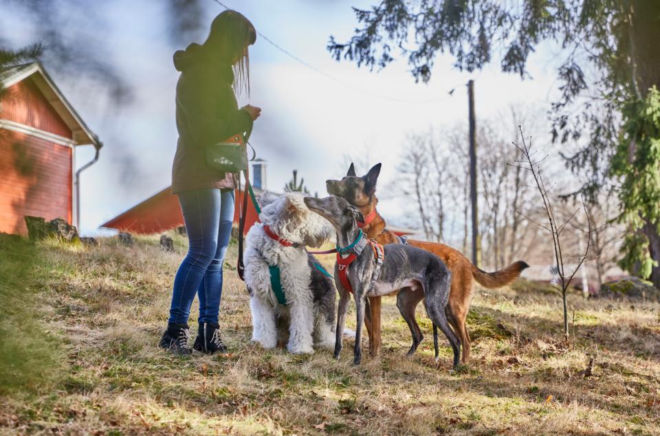 Hurtta Rover halsbånd