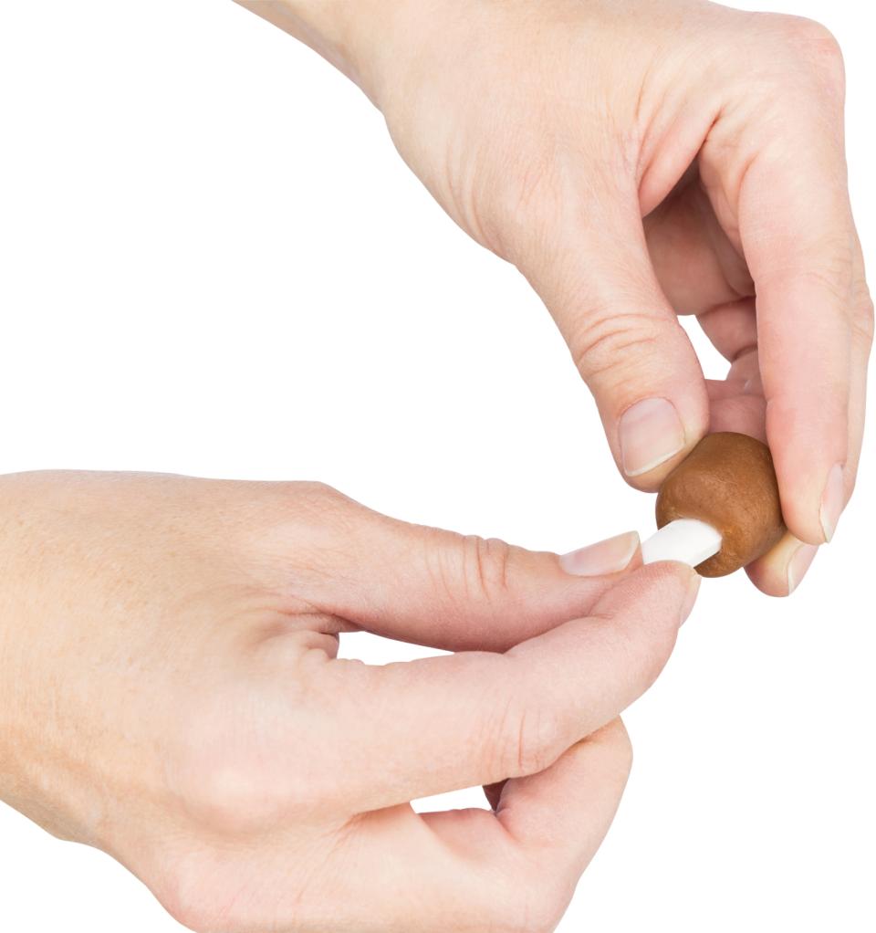 Trixie Gjemmested f/tabletter, snacks f/fylling