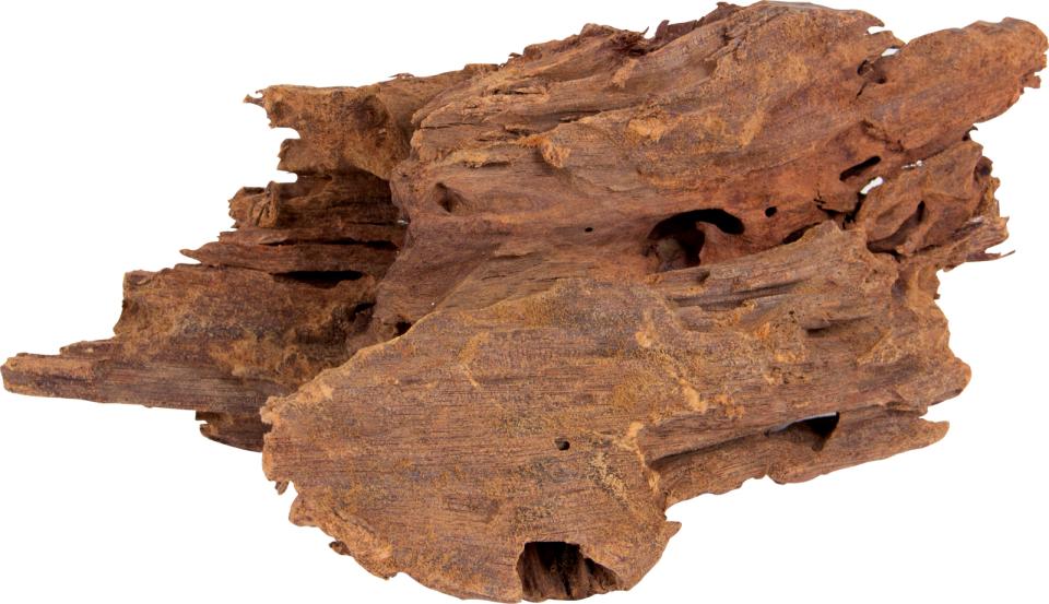 Mangrove trærødder