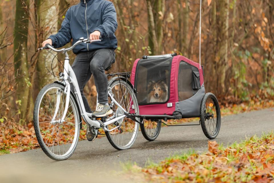 Trixie cykeltrailer