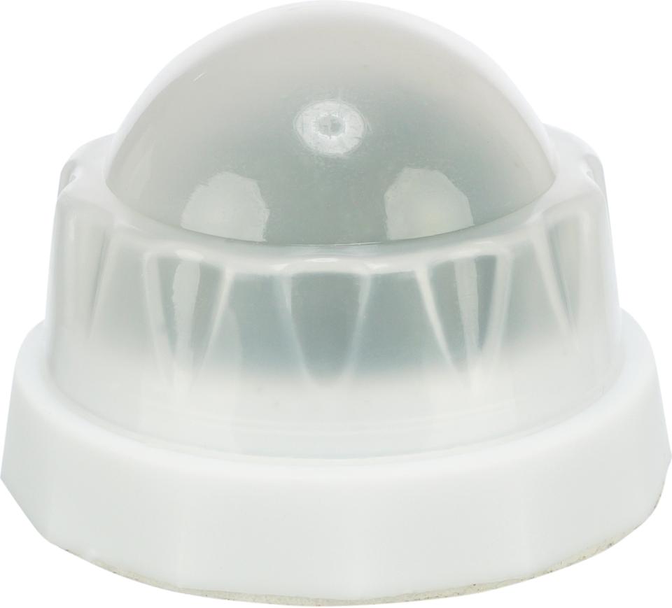 Catnip ball with holder