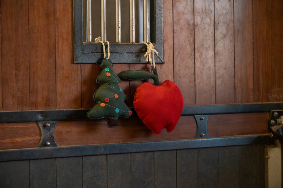 Horse Guard-Pferdspielzeug - apfel