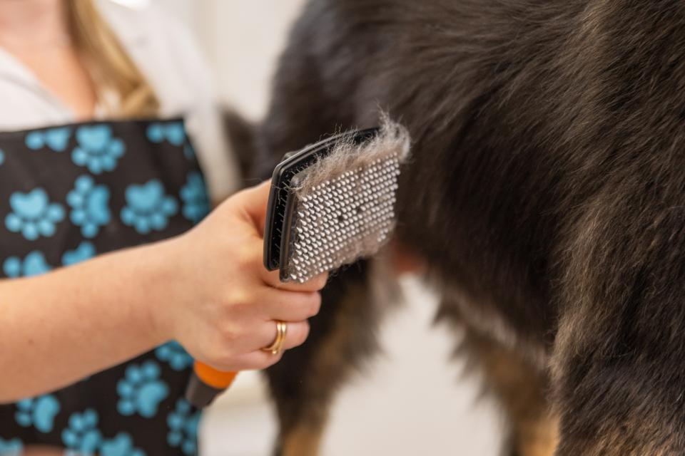 Wahl Liten Självrengörande Nylon Slicker