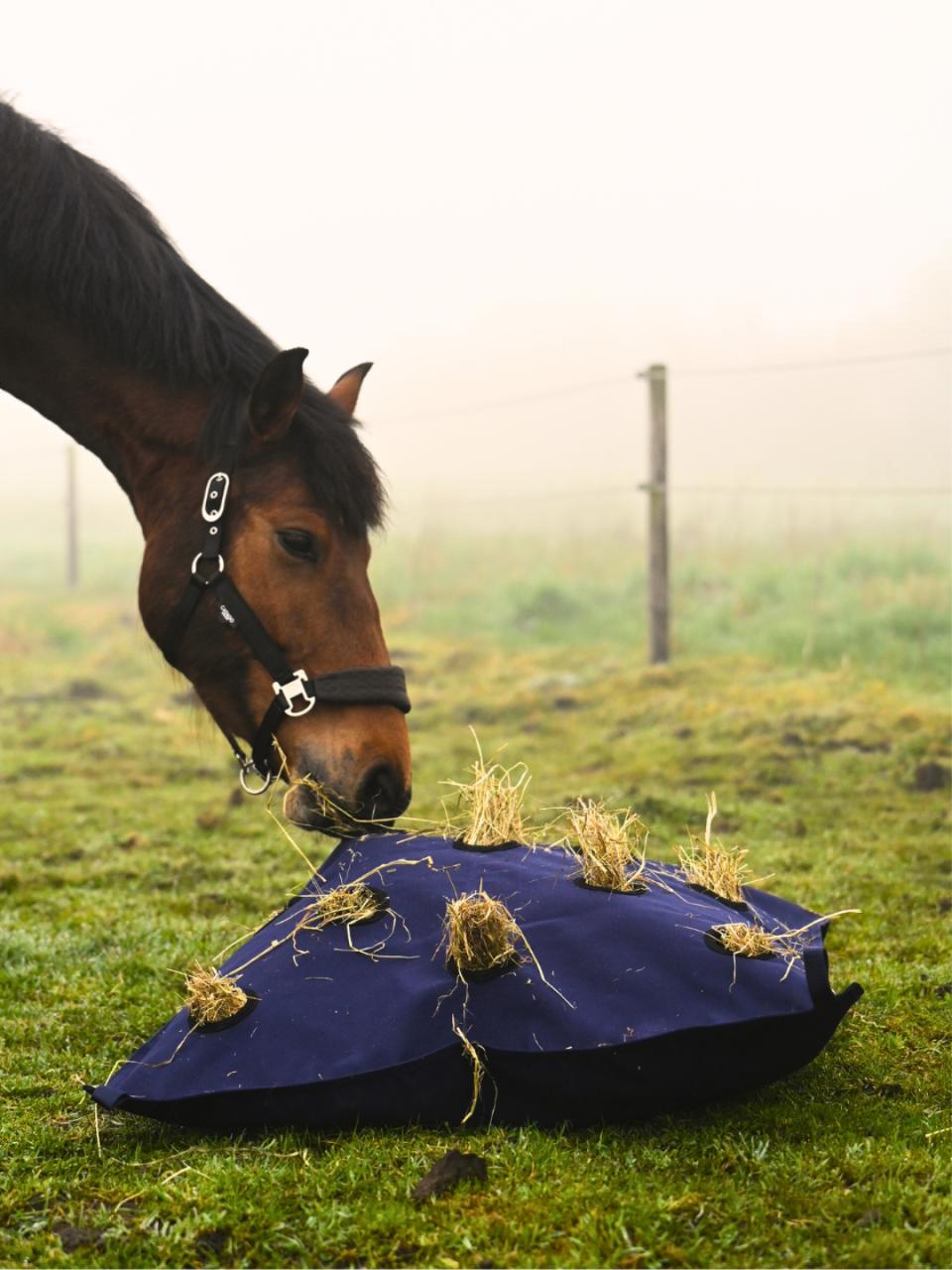 Horse Guard Pillow hay bag