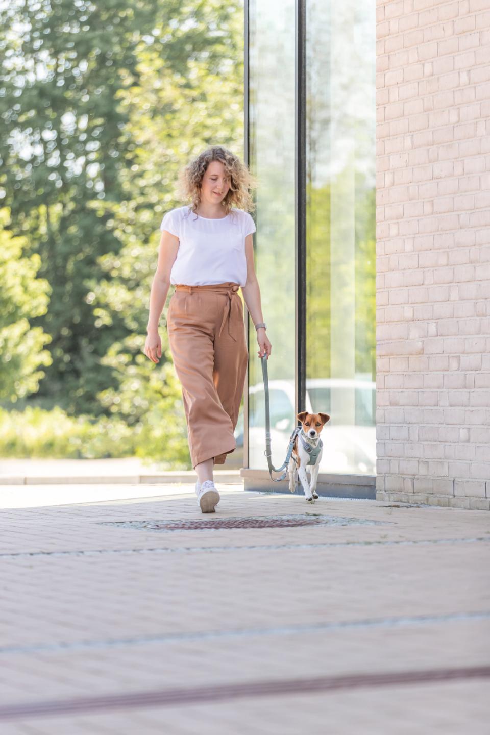 Trixie Premium Active hundesele