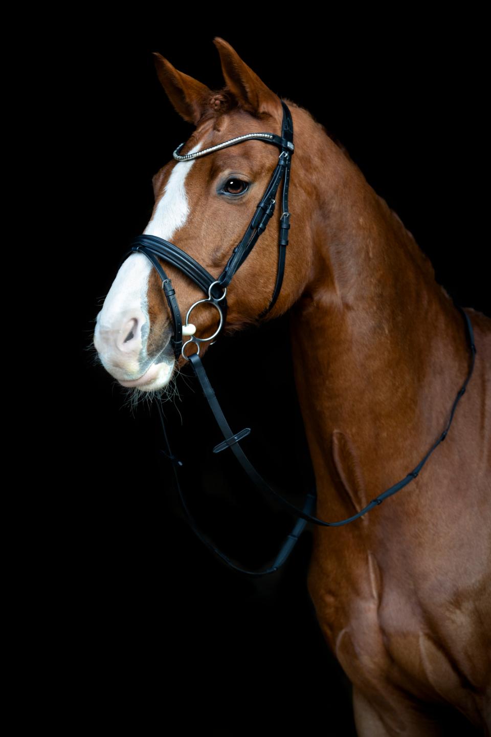 Happy Mouth bitt 3-delt, 2 ringer