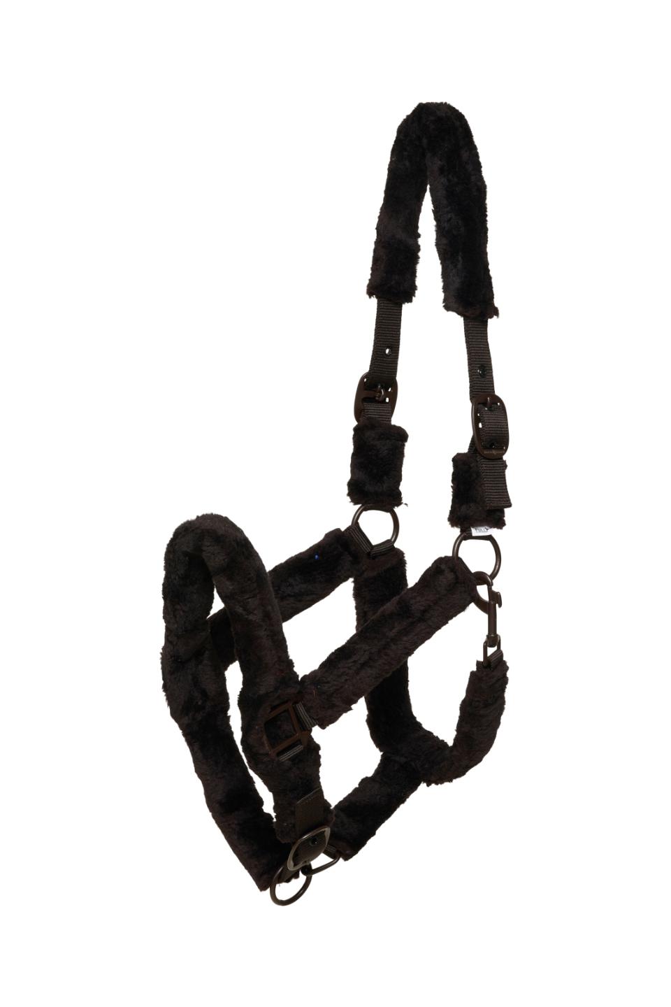 HorseGuard Clint grime