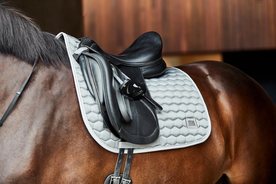 Horse Guard Kora schabrak