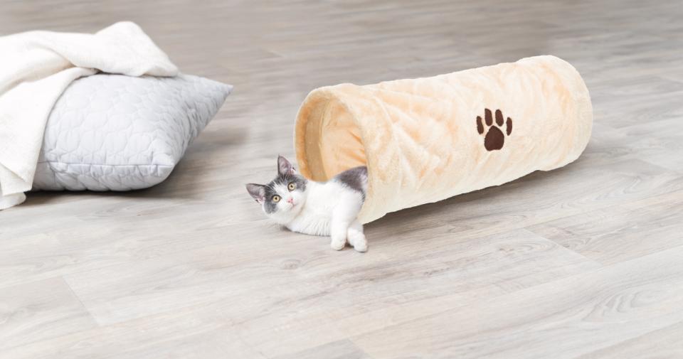 Trixie Crunch plystunnel