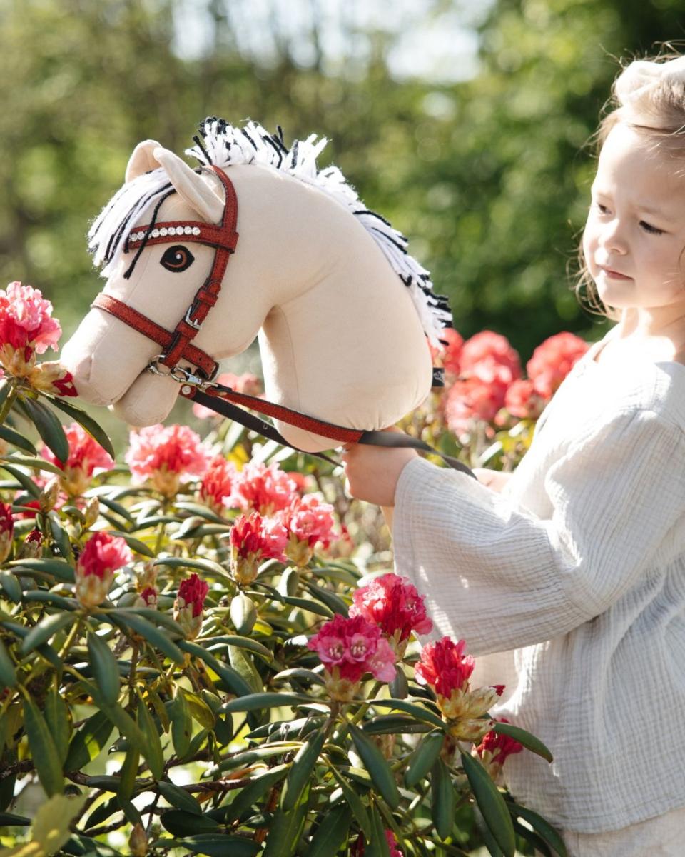 My Hobby Horse Bridle, red glitter