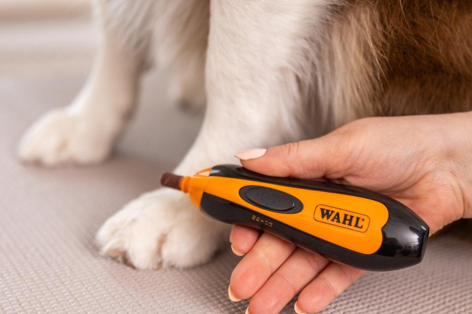 Wahl nagelslip