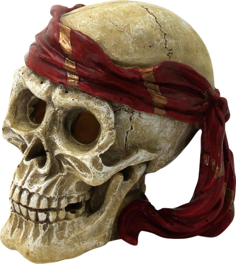 4FISH Dödskalle med bandana