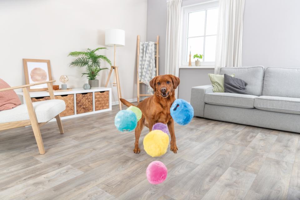 Trixie Be ECO bold i plys