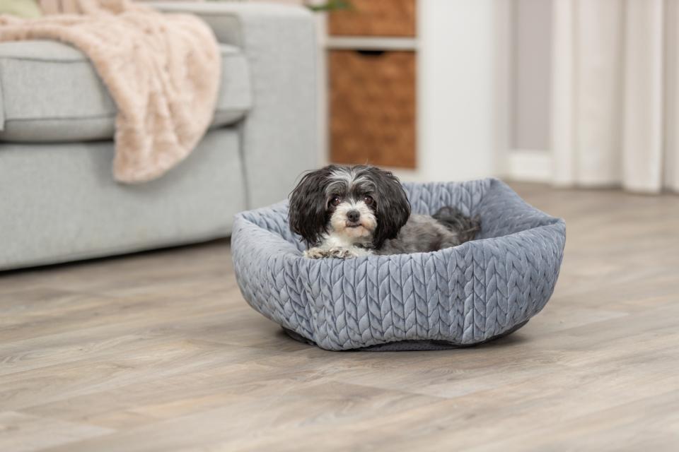 Trixie Livia hundeseng, rund