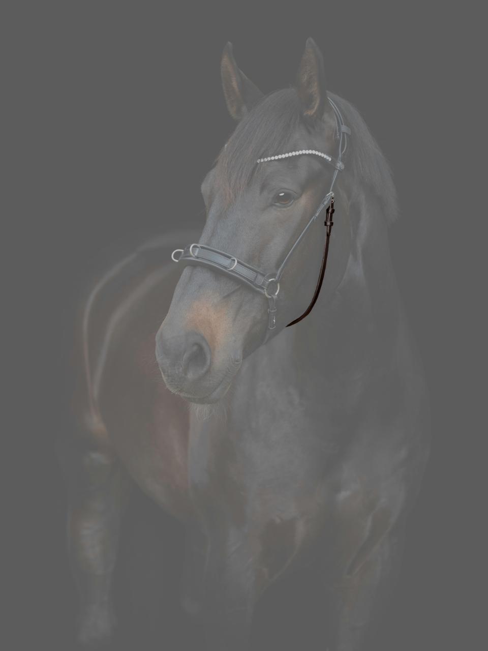 CATAGO Gentle käkrem m/spännen