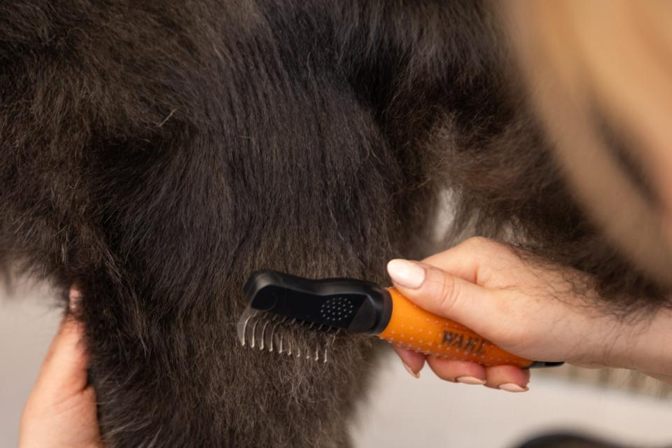Wahl Dematter