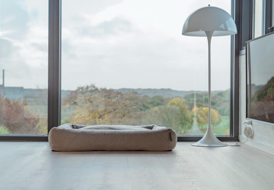 Companion Cocoon Jens hundeseng