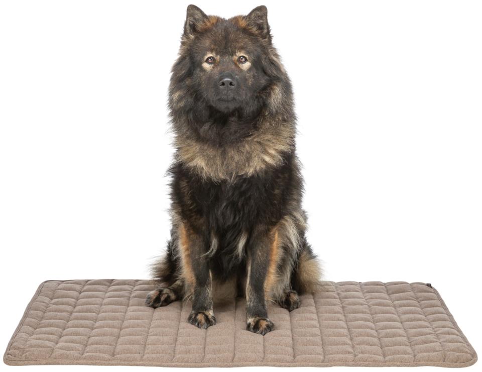 Trixie Caliente hundemadras