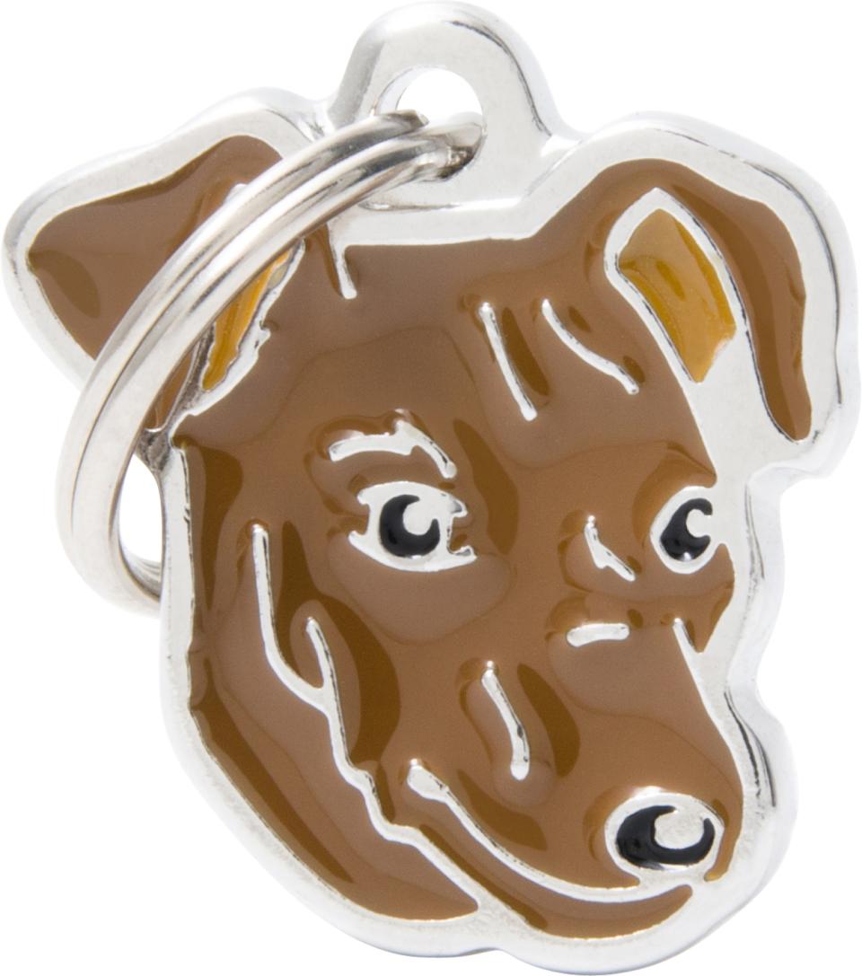 MyFamily Friends, Pinscher