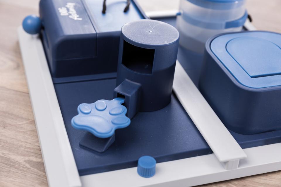 Dog Activity Poker Box 2