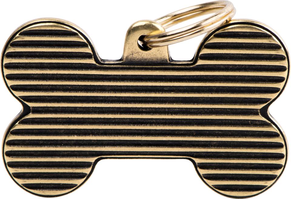 MyFamily Bronx, ben, shutter