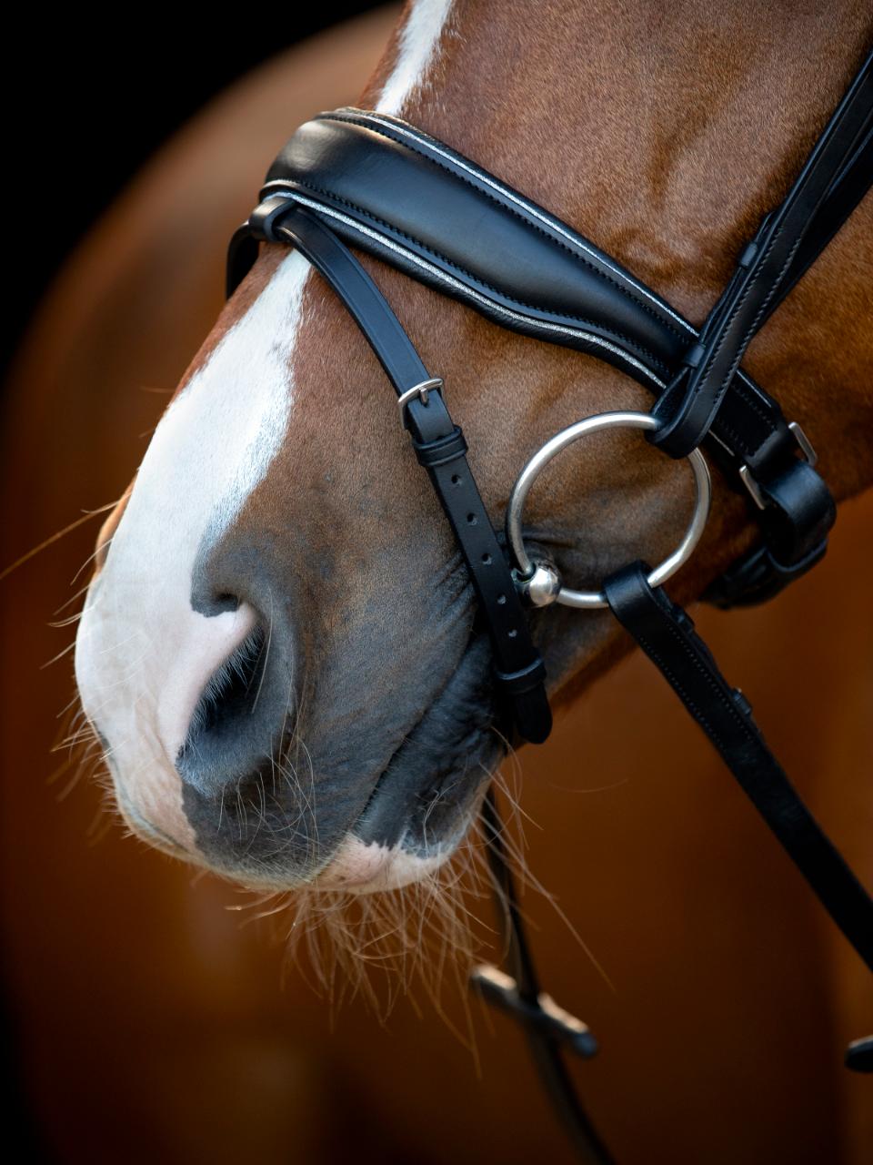 HG Cryll 25.1 Trense komb. mit Zugband