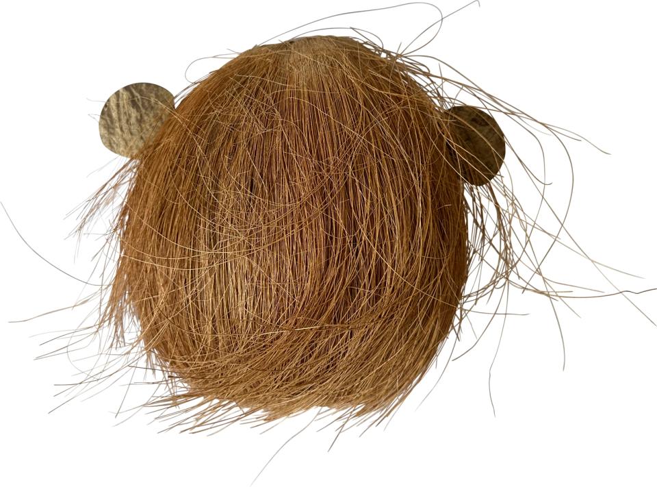 Coco Monkey 1, åben mund