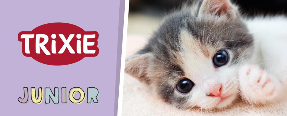 Magnet skilt t. Tego reol killing