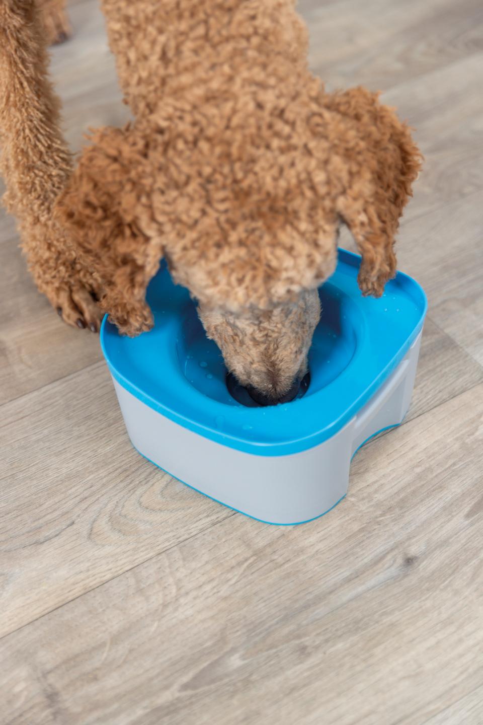 Trixie kraftig rejseskål